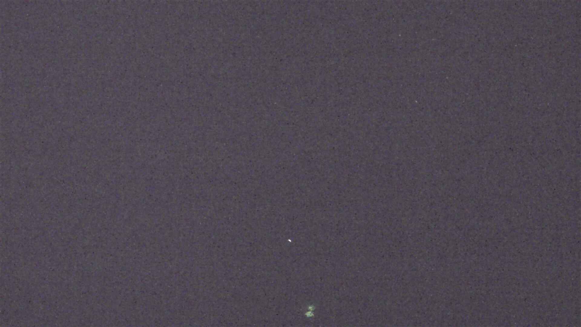 Cradle Mountain Dove Lake Carpark snow cam captured at 5 August 2026 at 9:05 pm AEST