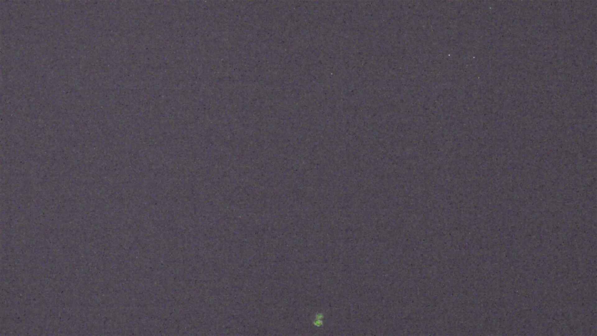 Cradle Mountain Dove Lake Carpark snow cam captured at 6 August 2026 at 11:57 pm AEST