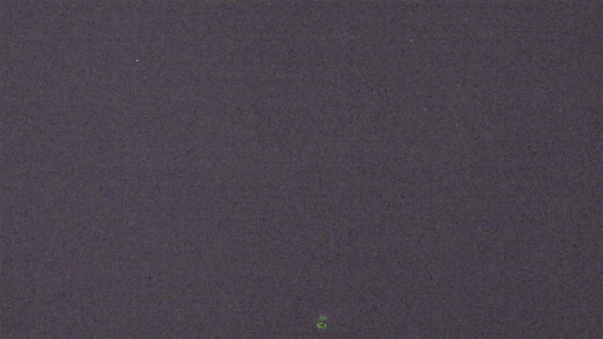 Cradle Mountain Dove Lake Carpark snow cam captured at 7 August 2026 at 9:08 pm AEST