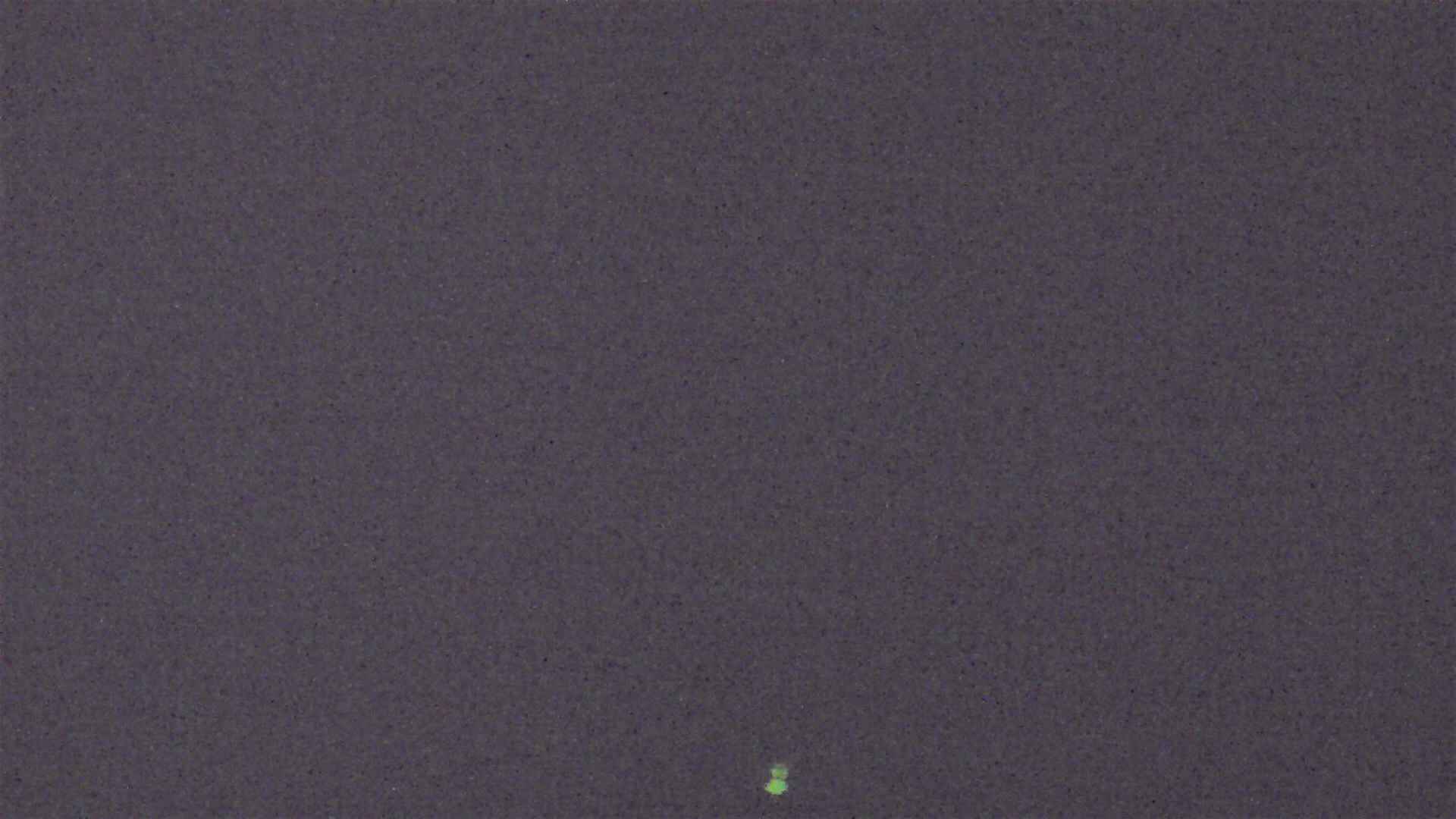 Cradle Mountain Dove Lake Carpark snow cam captured at 8 August 2026 at 9:25 pm AEST