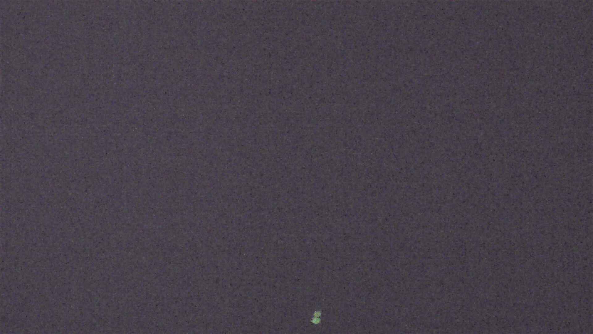 Cradle Mountain Dove Lake Carpark snow cam captured at 9 August 2026 at 9:11 pm AEST