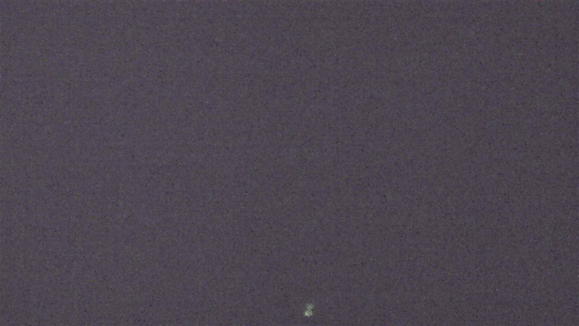 Cradle Mountain Dove Lake Carpark snow cam captured at 10 August 2026 at 8:54 pm AEST