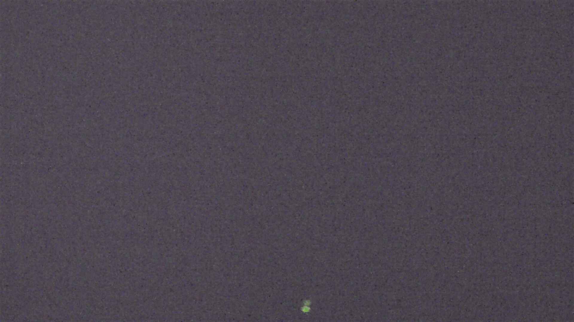 Cradle Mountain Dove Lake Carpark snow cam captured at 11 August 2026 at 9:11 pm AEST