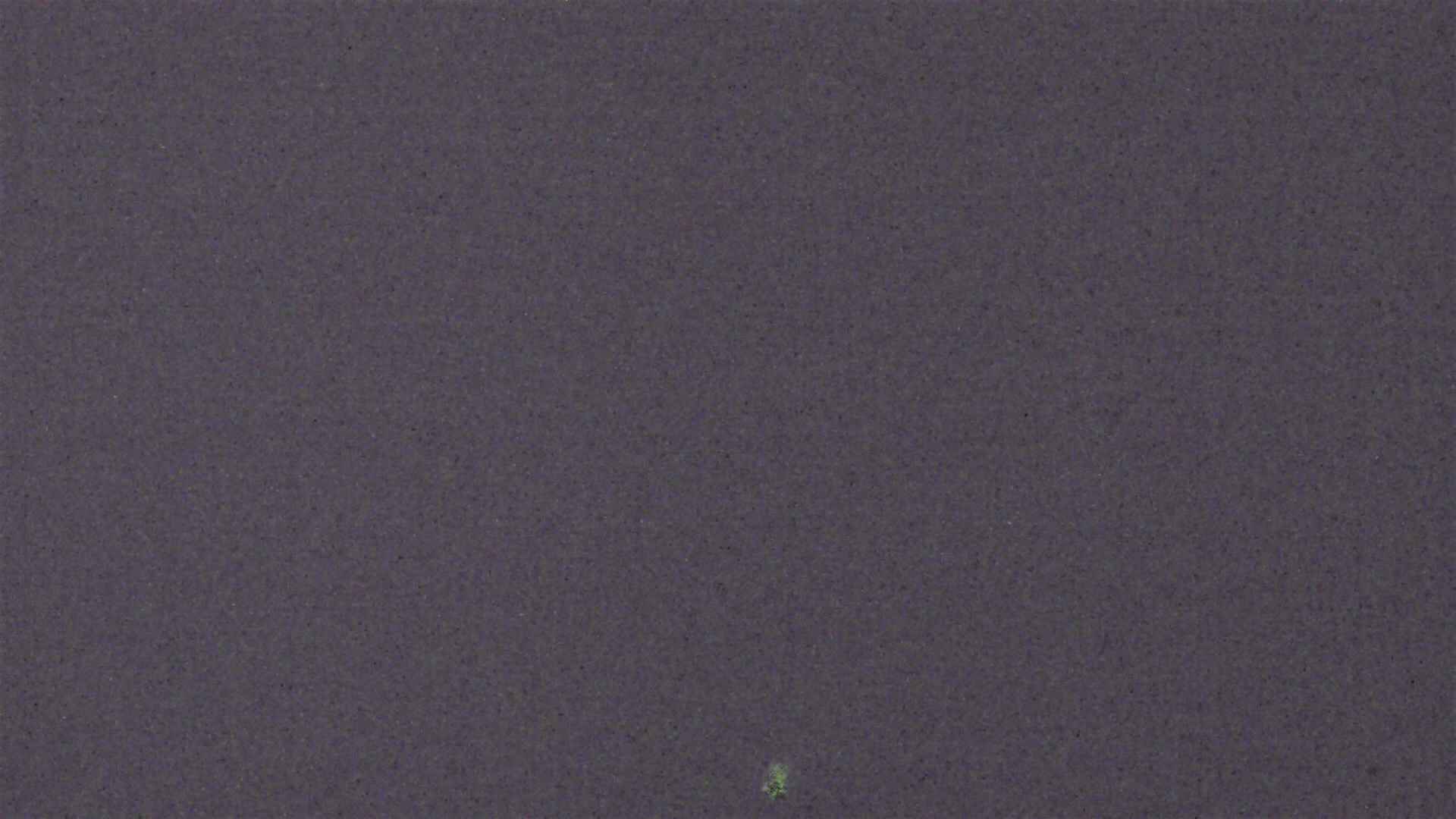 Cradle Mountain Dove Lake Carpark snow cam captured at 12 August 2026 at 9:28 pm AEST