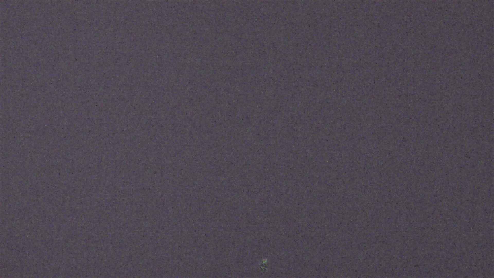 Cradle Mountain Dove Lake Carpark snow cam captured at 13 August 2026 at 9:15 pm AEST