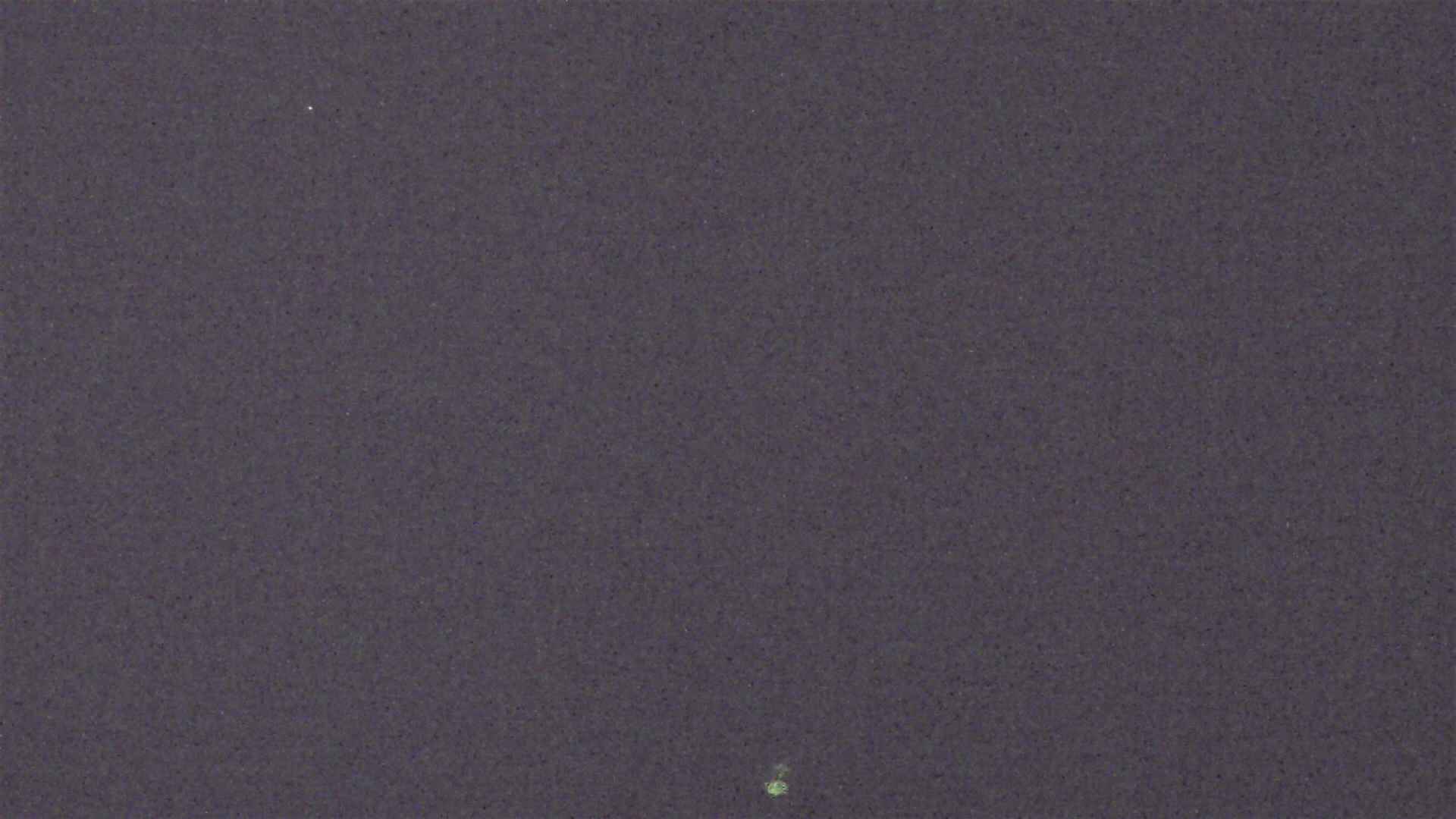 Cradle Mountain Dove Lake Carpark snow cam captured at 14 August 2026 at 9:32 pm AEST