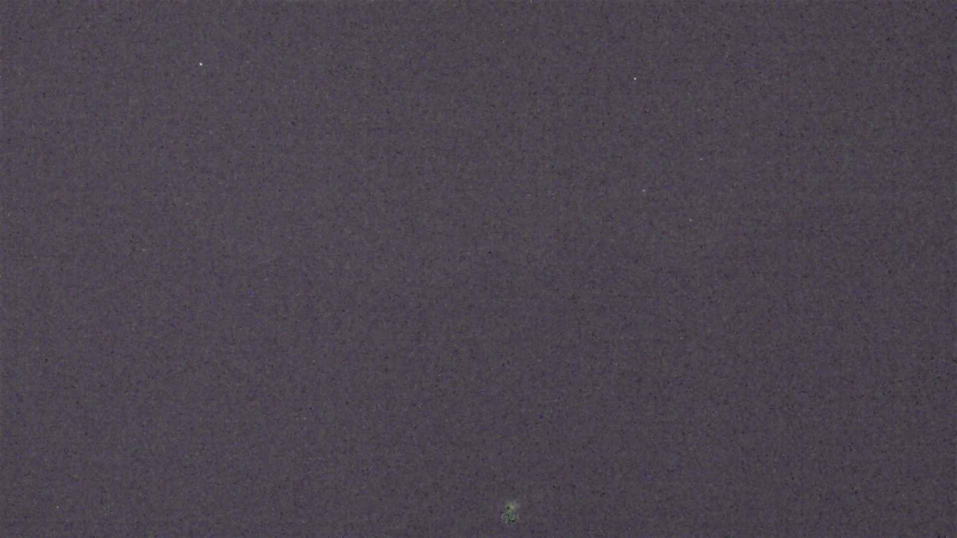 Cradle Mountain Dove Lake Carpark snow cam captured at 15 August 2026 at 9:18 pm AEST