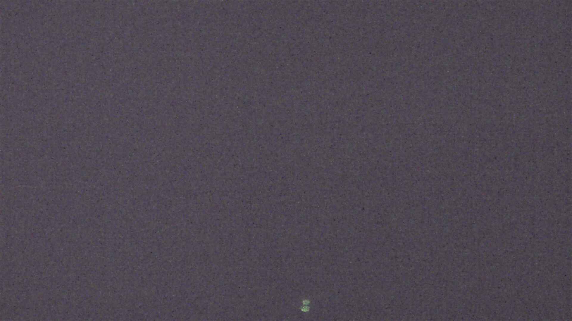 Cradle Mountain Dove Lake Carpark snow cam captured at 16 August 2026 at 9:04 pm AEST