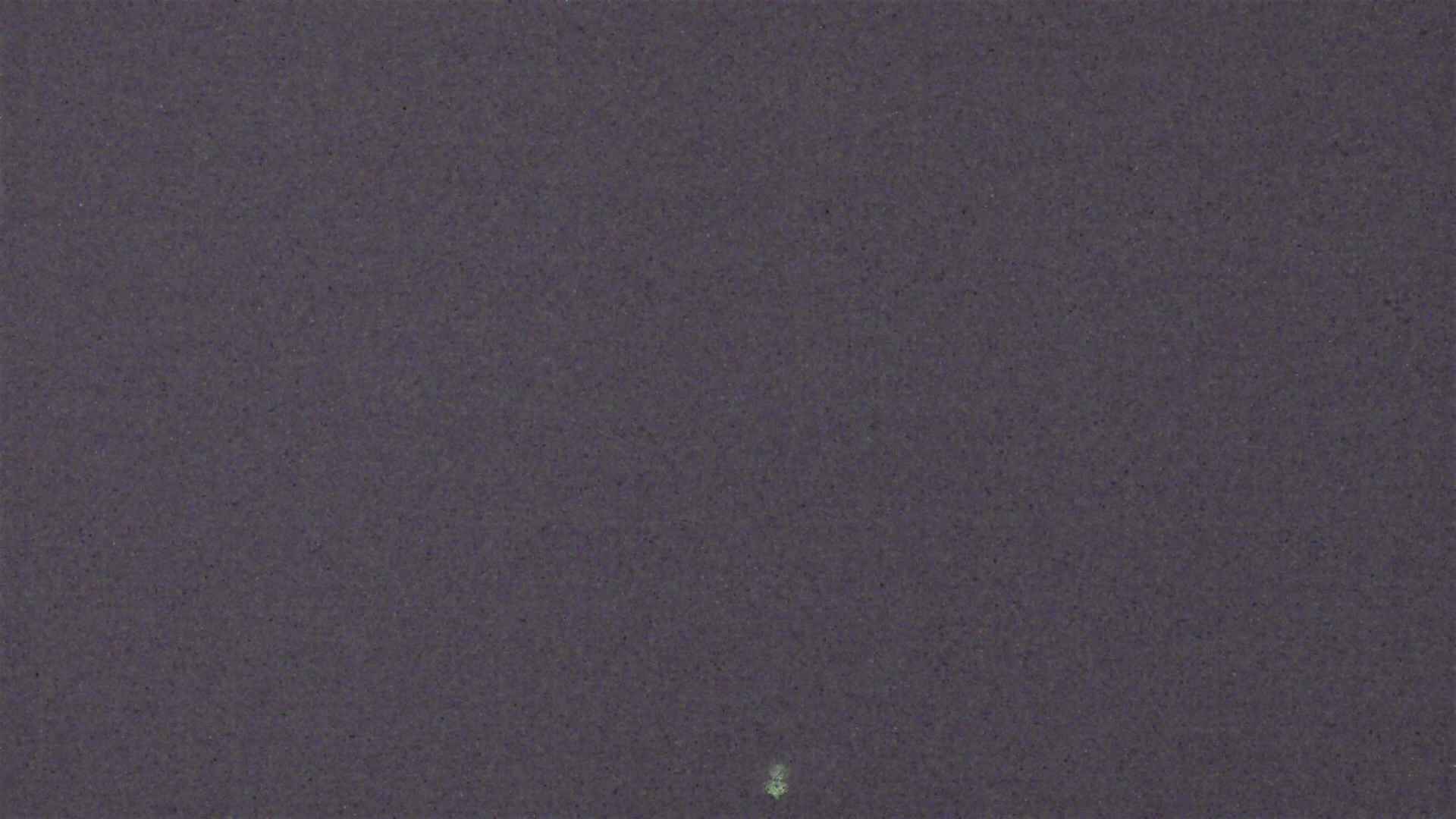 Cradle Mountain archive representative frame captured at 17 August 2026 at 9:21 pm AEST