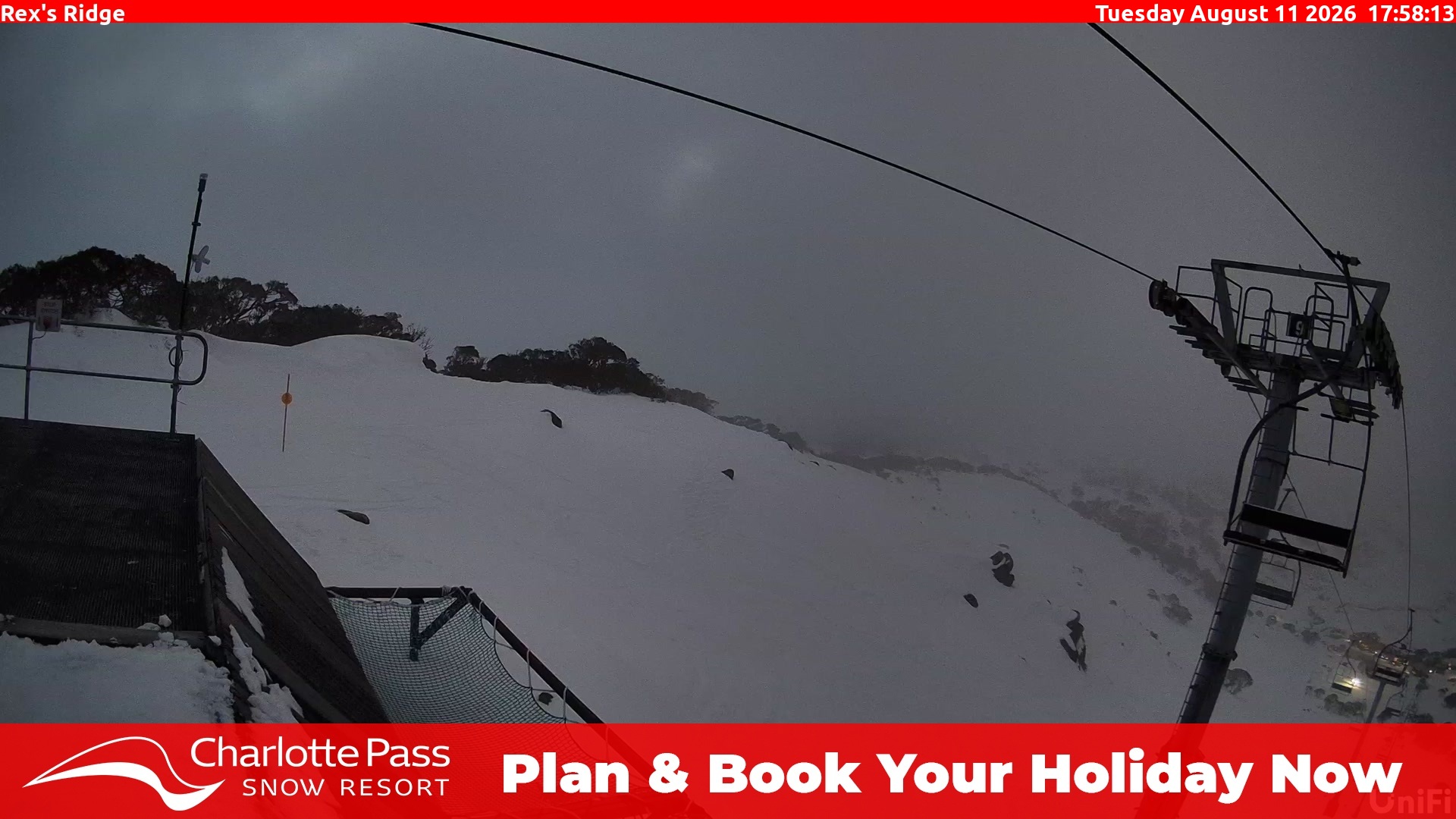 Charlotte Pass Rex's Ridge snow cam captured at 11 August 2026 at 6:01 pm AEST